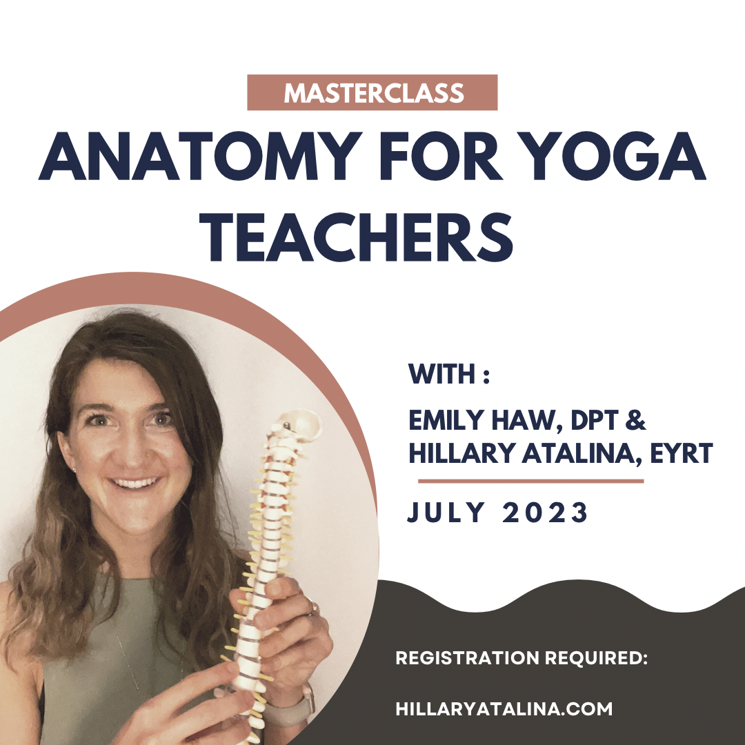 FREE Anatomy for Yoga Teachers Masterclass