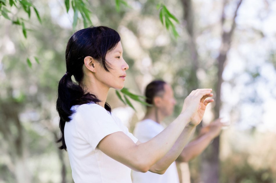 4 Days Healing Qi-Gong with Meditation Retreat | Instructed in English | Hessen Germany
