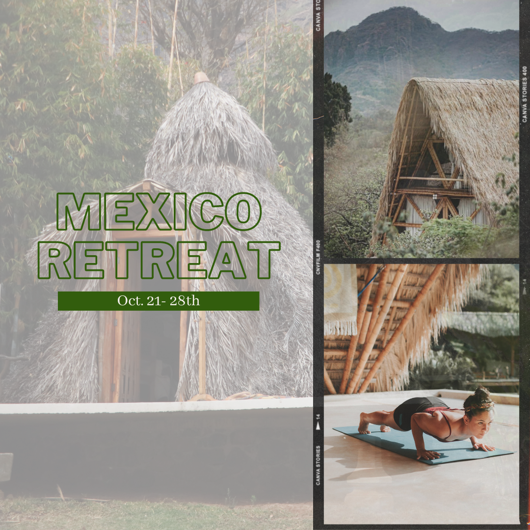 Crystal Clear: 7 Days Of Transformation In Mexico
